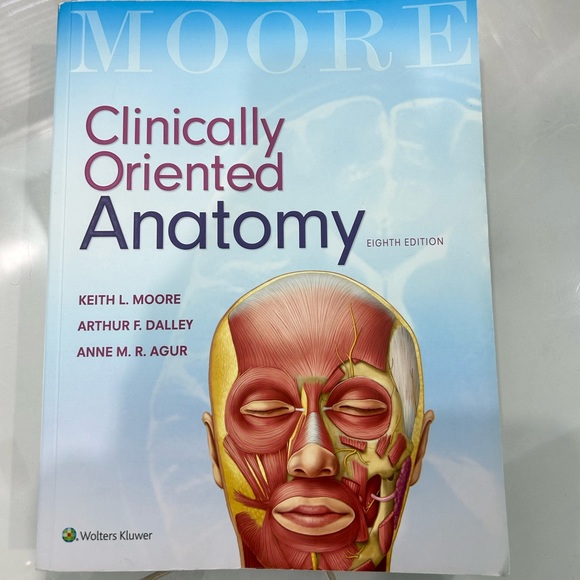 kinesiology textbooks / anatomy / neuroscience - Picture 2 of 3